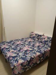 The Boutiq (D9), Apartment #325823891